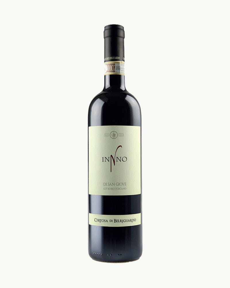 Santepietre Valpolicella Lamberti – Ripasso Italian Vino.co.za – Shop Wine