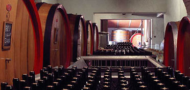 La Torre wine cellar.