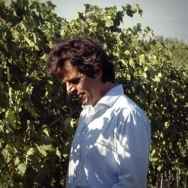 Luigi Ananìa in the winery vineyards.